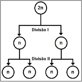 Blog Do Prof. Warles: QUIZ 01: CIÊNCIAS 2ª SÉRIE - E.M