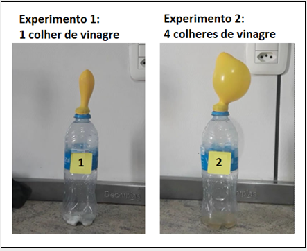 Blog Do Prof. Warles: QUIZ 08: CIÊNCIAS 2ª SÉRIE - E.M