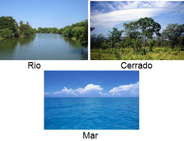 QUIZ DE CIÊNCIAS - OS AMBIENTES DO PLANETA TERRA