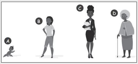 Blog Do Prof. Warles: QUIZ 07: CIÊNCIAS 4° Ano