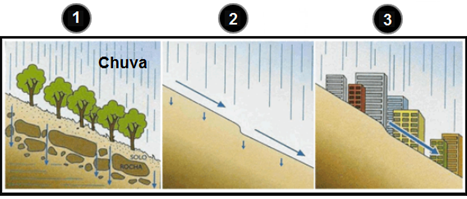 QUIZ DE CIÊNCIAS - O SOLO E SEUS ELEMENTOS