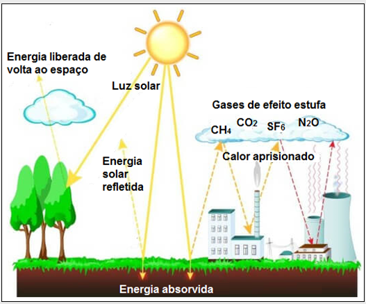 Ta Ai A Resposta Completa Do Blank Quiz A Resposta É Para A  carolinevieiradaluz Ciências - 8º Ano - Se 