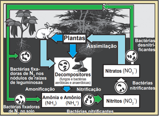 Blog do Prof. Warles: ENEM_CiênciasNatureza_2010_2ªAp