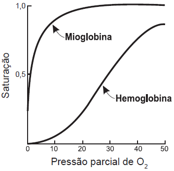 QUÍMICA ENEM PPL 2019! Antes da geração do céu, teremos que rever