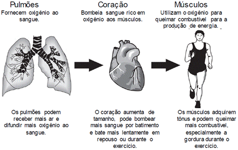 Blog do Prof. Warles: ENEM_CiênciasNatureza_2010_2ªAp