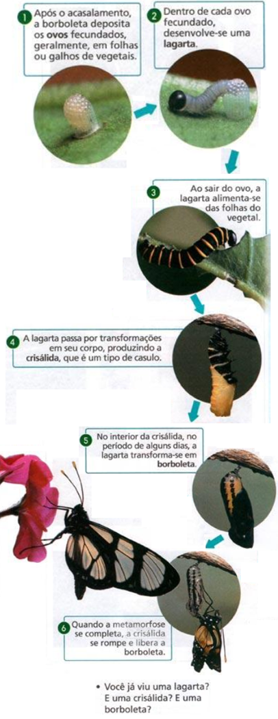 Será que você sabe? #quiz #quizmatematico #responda #perguntaseresp